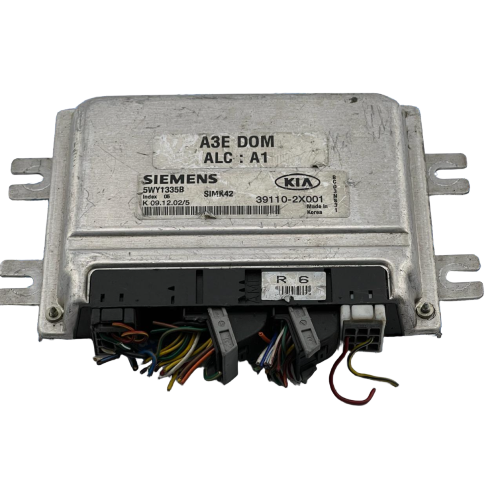 Engine Control / ECU 5WY1335B, 391102X001 KIA Rio 2002 2311024800, 39110-2X001 - OEM Kia Engine Control Unit